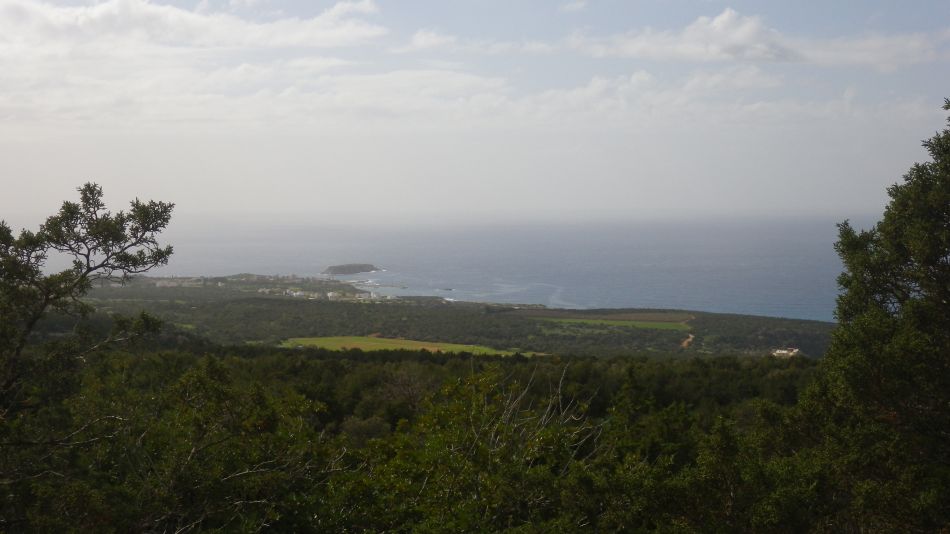 2019-02-07 19 Walk 7 Coral Bay.JPG