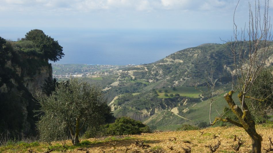 2019-02-10 02 Walk 6 View from Kathikas.JPG