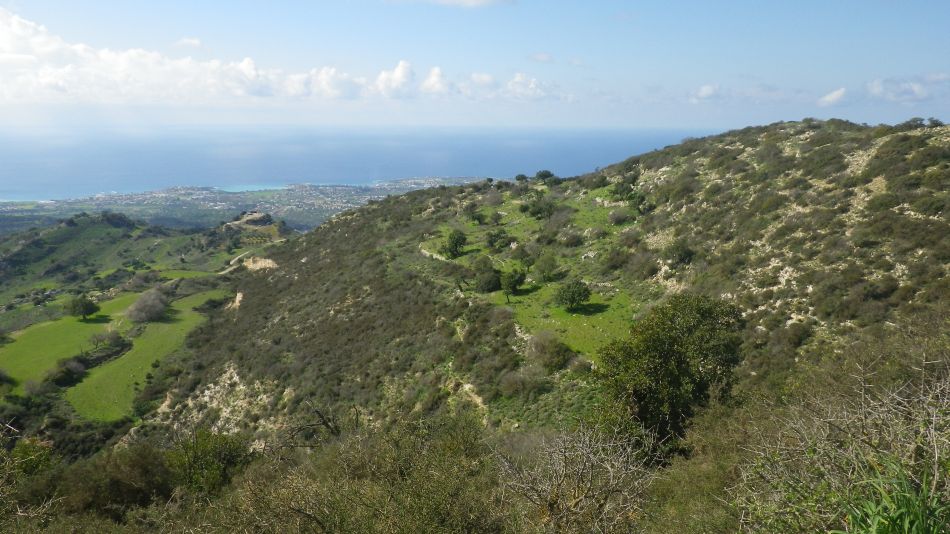 2019-02-10 10 Walk 6 More Views.JPG