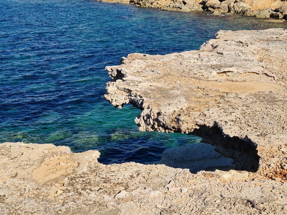 2023-01-24 13 Coral Bay to Agios Georgios.jpg