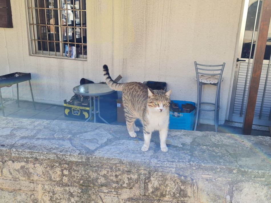 2023-01-26 03 Kathikas and Akoursos.jpg