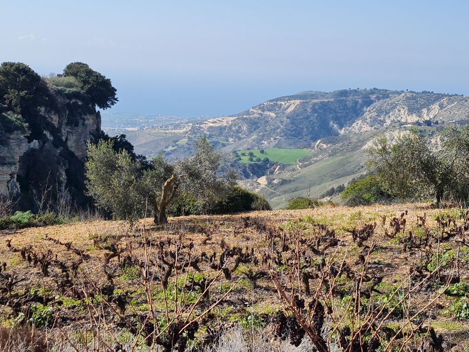 2023-01-26 09 Kathikas and Akoursos.jpg