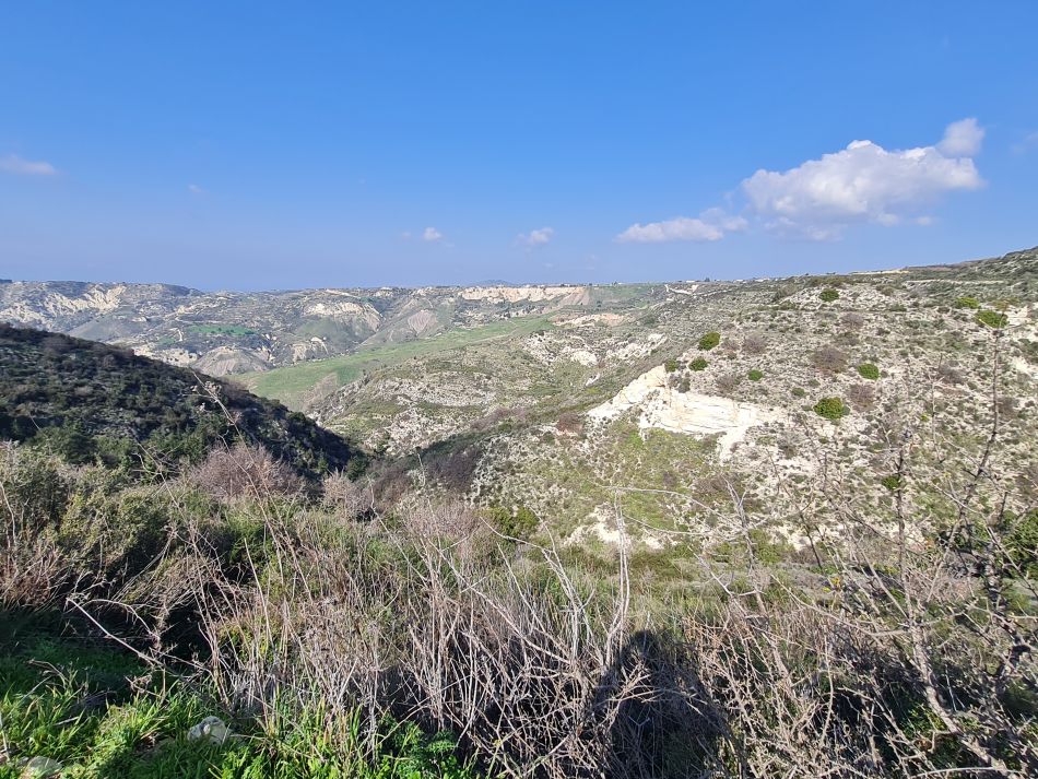 2023-01-26 15 Kathikas and Akoursos.jpg