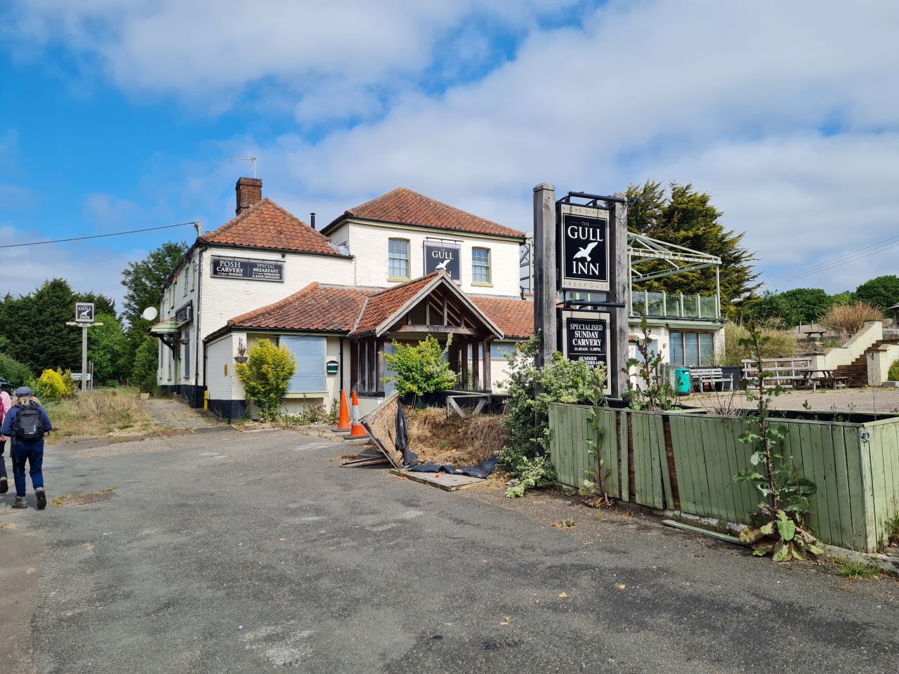 2025-05-21 01 Framingham Pigot Gull.jpg