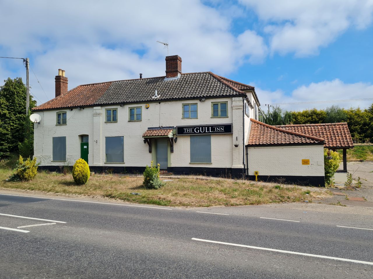 2025-05-21 02 Framingham Pigot Gull.jpg