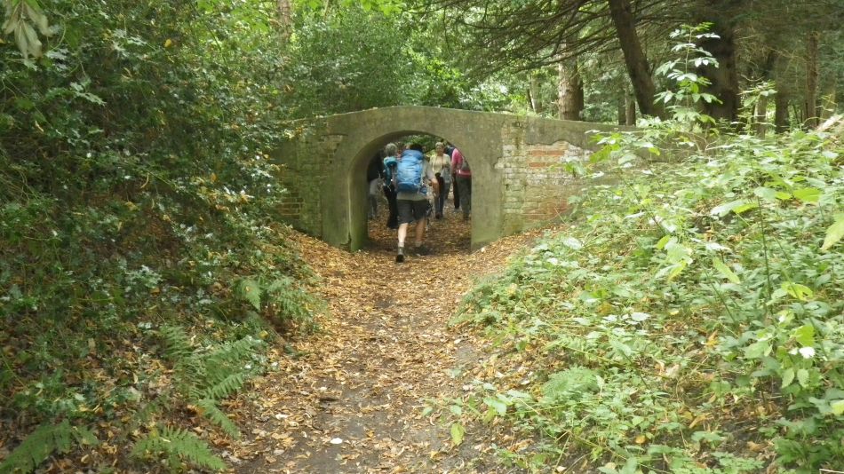 2017-09-10 16 Stour Walking Group at Sizewell and Dunwich.jpg