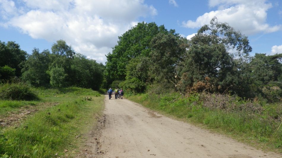 2019-06-09 01 Sizewell and Thorpness.jpg