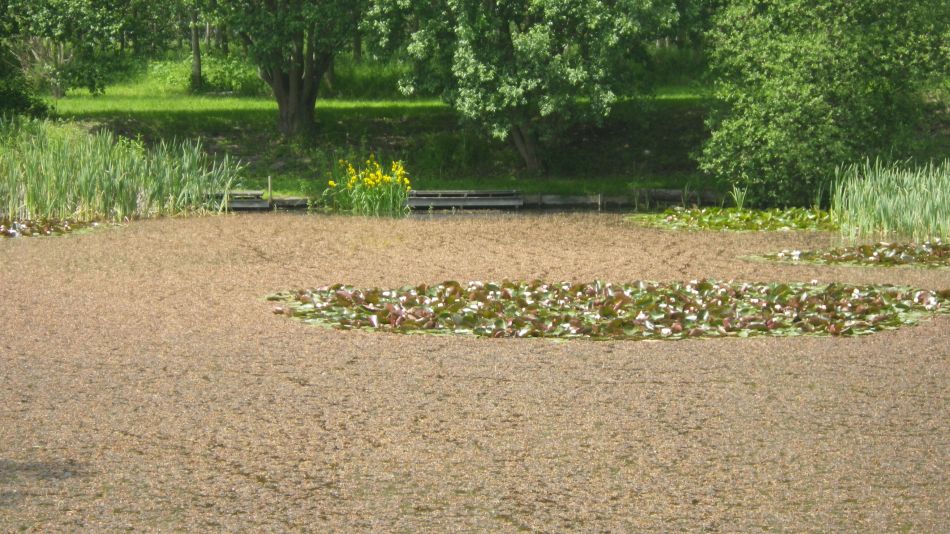 2019-06-09 04 Sizewell and Thorpness.jpg