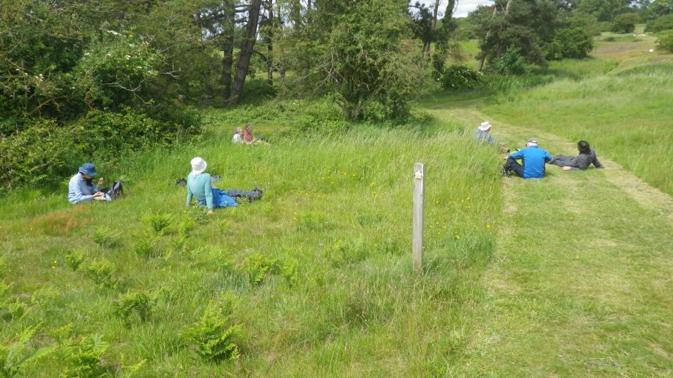 2019-06-09 05 Sizewell and Thorpness.jpg
