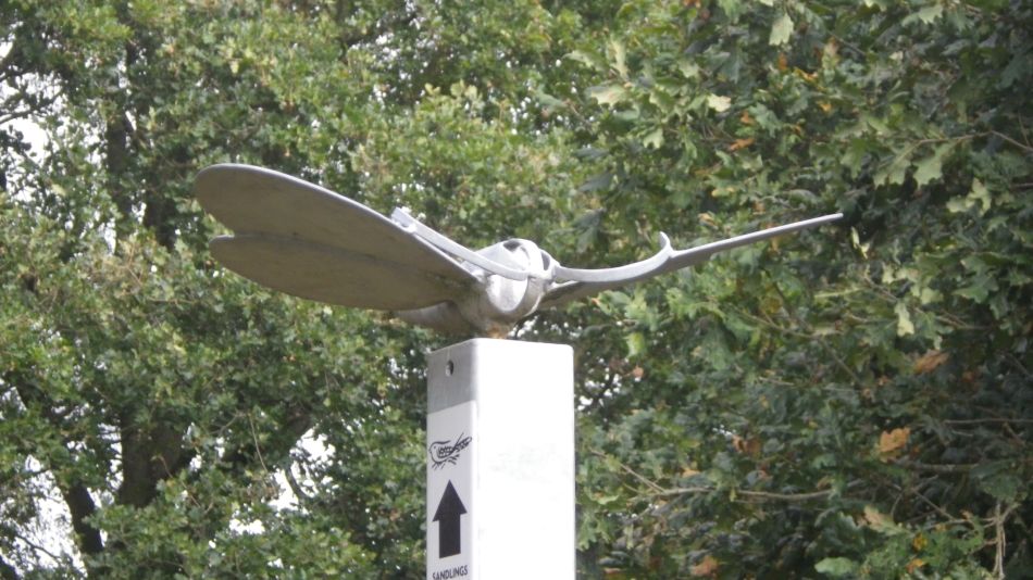 2020-10-15 08 Sandlings 9 - Sizewell.jpg