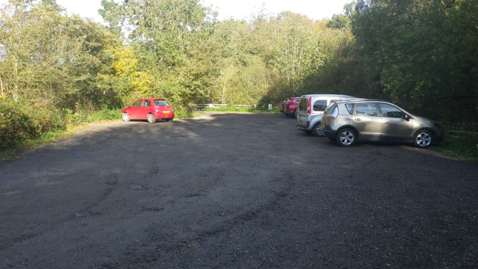 2020-11-05 02 Sandlings 10 Minsmere.jpg