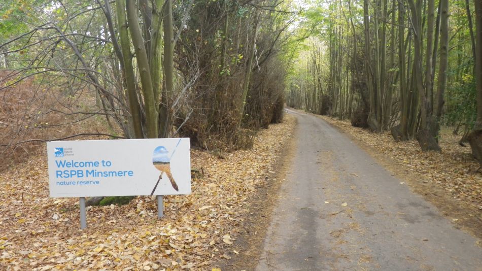 2020-11-05 05 Sandlings 10 Minsmere.jpg