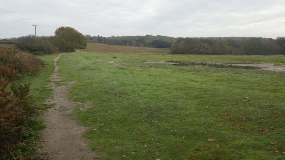 2020-11-05 10 Sandlings 10 Minsmere.jpg
