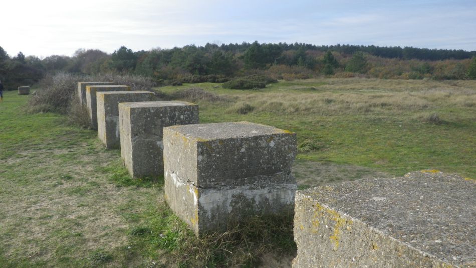 2020-11-05 16 Sandlings 10 Minsmere.jpg