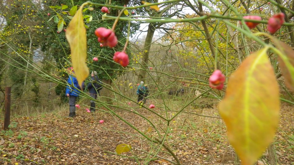 2018-12-02 10 Newbourne and Waldringfield.jpg