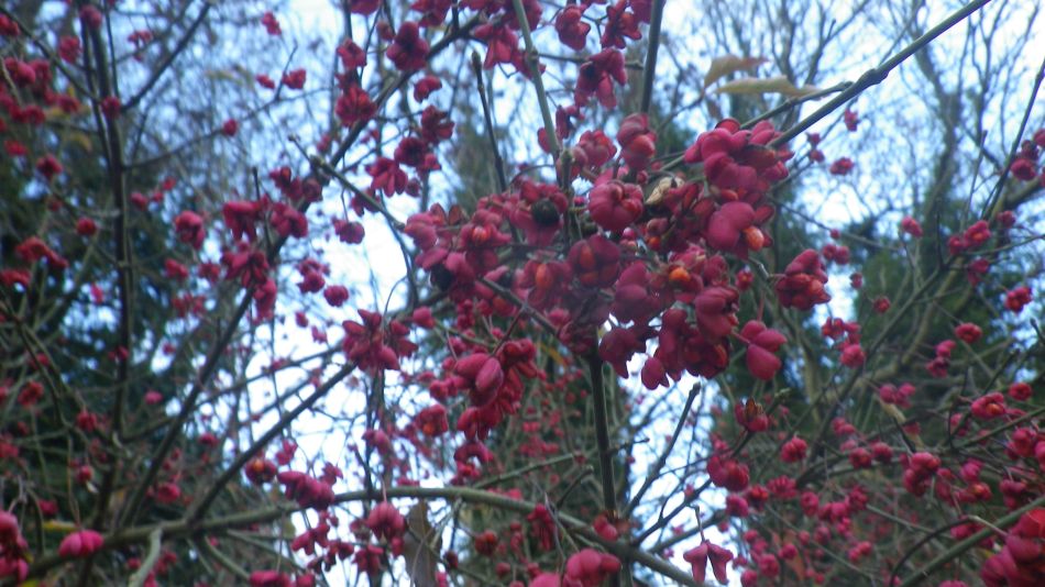 2018-12-02 13 Newbourne and Waldringfield.jpg