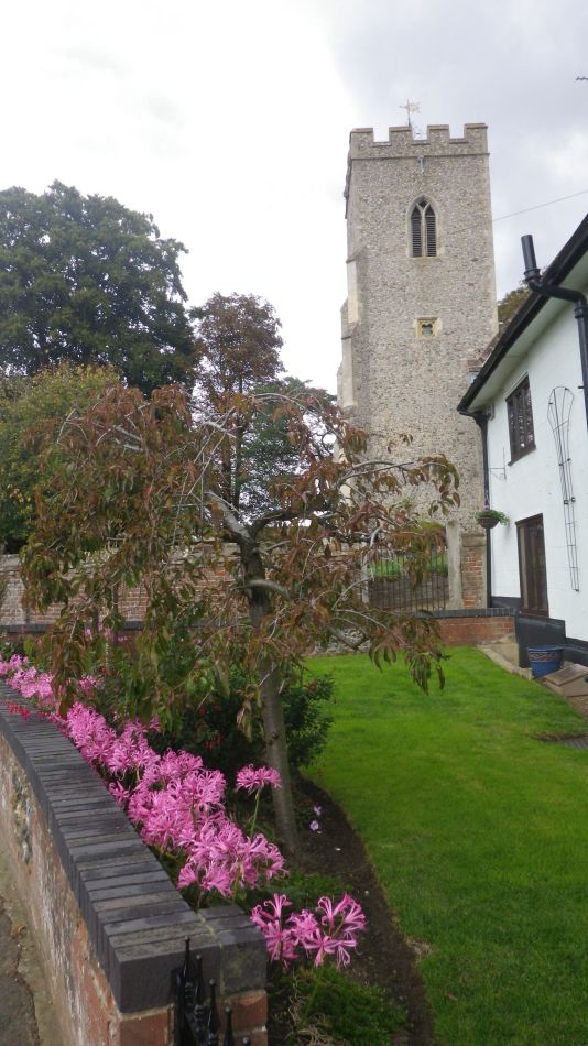 2017-10-07 11 Norwich Group at Hempnall.jpg