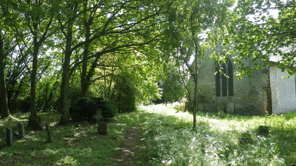 2017-05-21 05 Halesworth to Bungay Linear.jpg