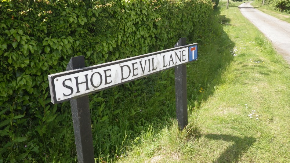 2017-05-21 06 Halesworth to Bungay Linear.jpg