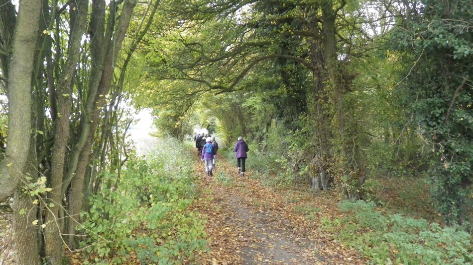 2017-11-09 08 Wensum Group at Bergh Apton.jpg