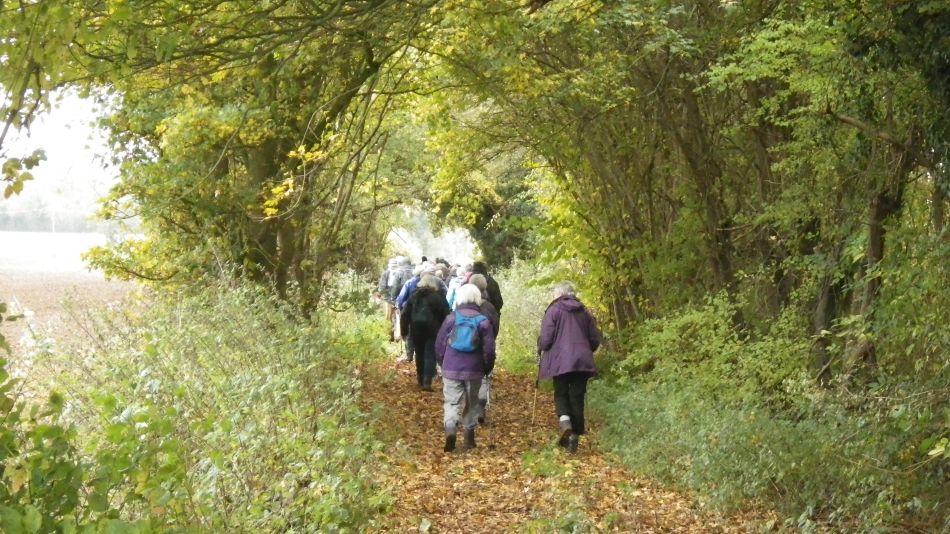 2017-11-09 09 Wensum Group at Bergh Apton.jpg