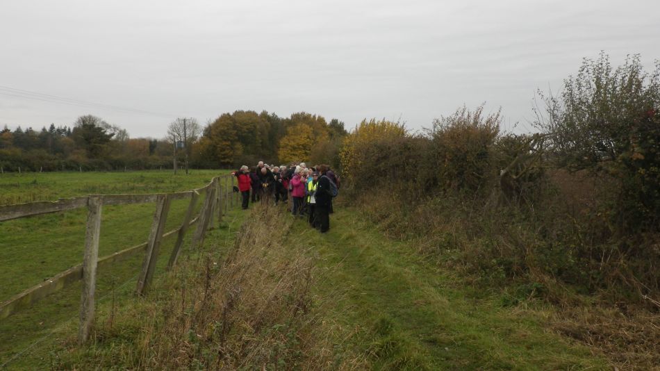 2017-11-09 10 Wensum Group at Bergh Apton.jpg