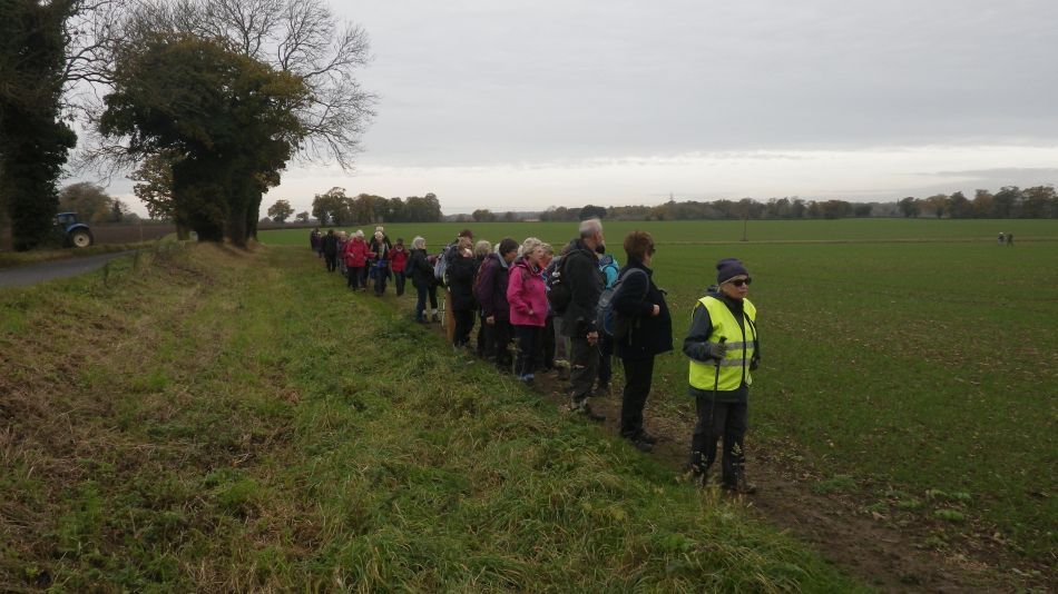 2017-11-09 12 Wensum Group at Bergh Apton.jpg