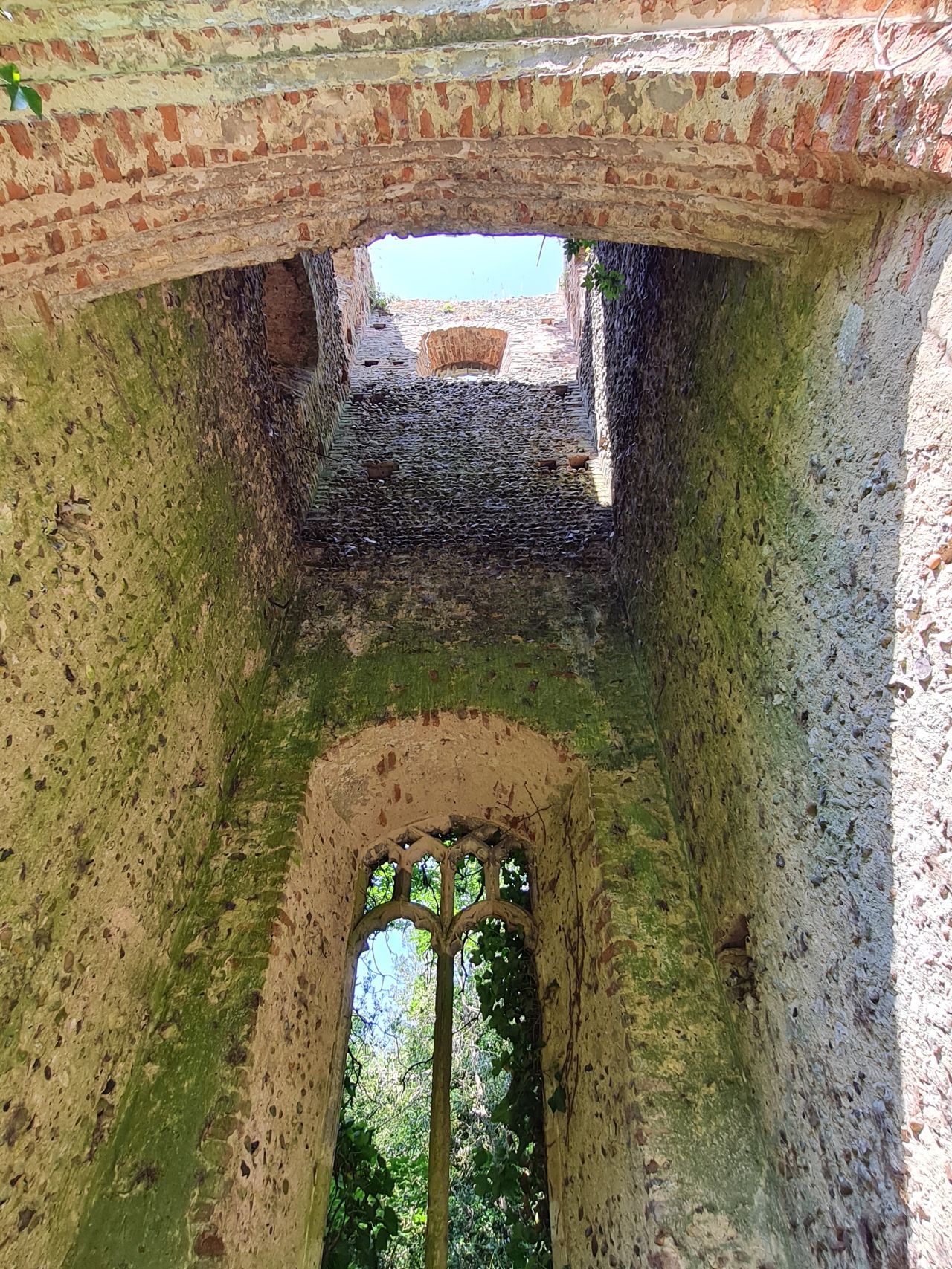 2025-06-11 06 Gillingham All Saints Ruins.jpg