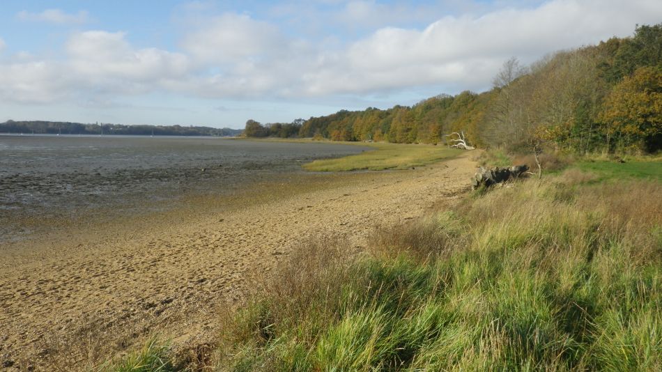 2020-09-10 02 Levington.jpg