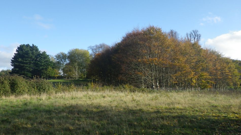 2020-09-10 03 Levington.jpg