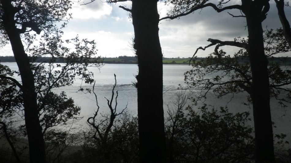 2020-09-10 04 Levington.jpg