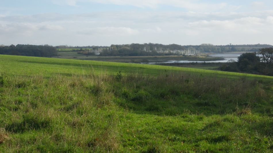 2020-09-10 05 Levington.jpg