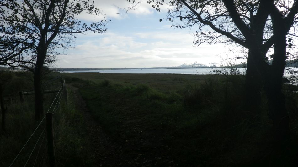 2020-09-10 06 Levington.jpg