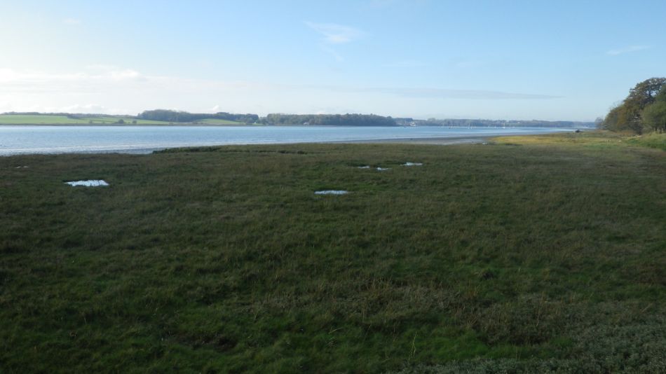 2020-09-10 07 Levington.jpg