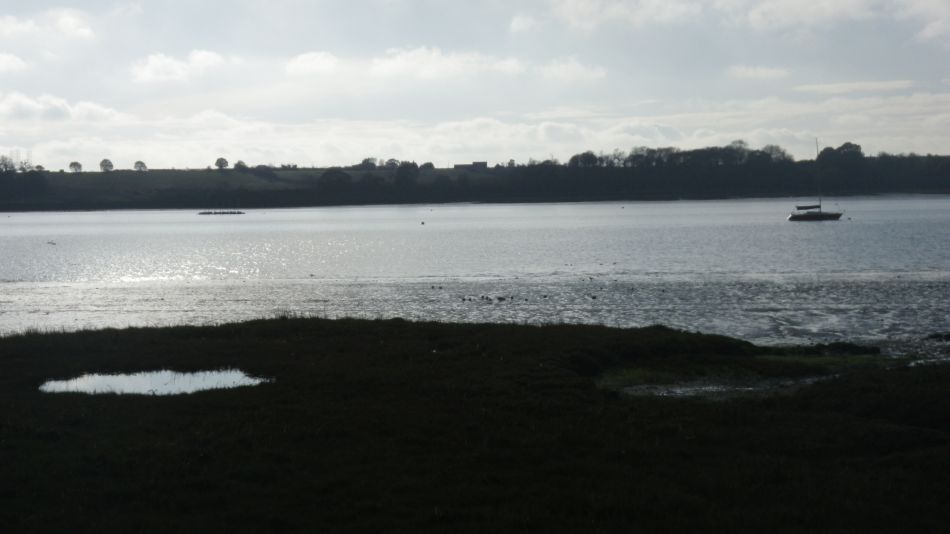 2020-09-10 08 Levington.jpg