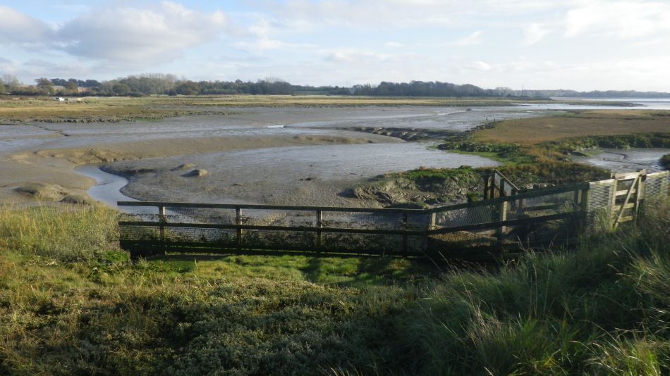 2020-09-10 09 Levington.jpg