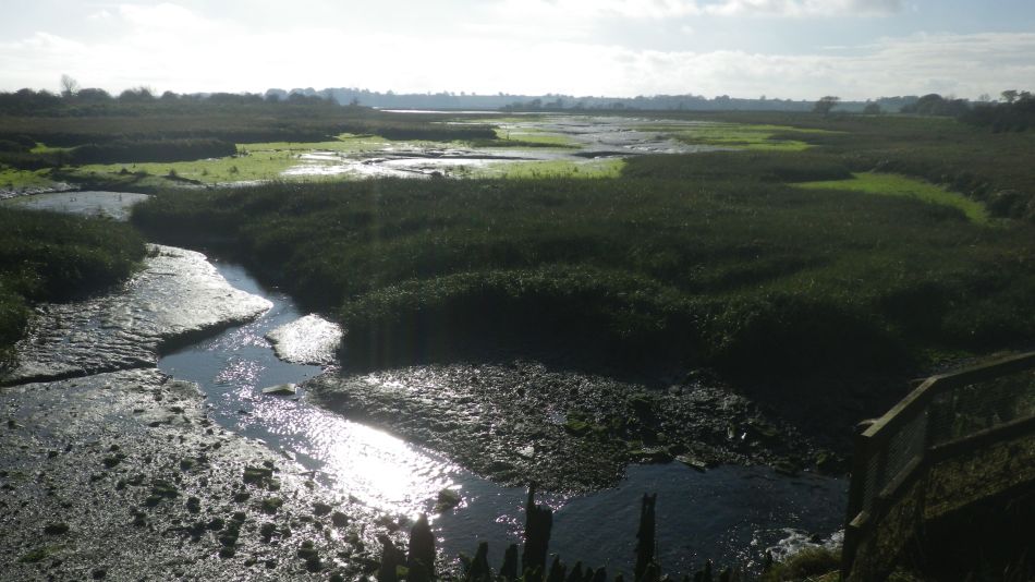 2020-09-10 10 Levington.jpg