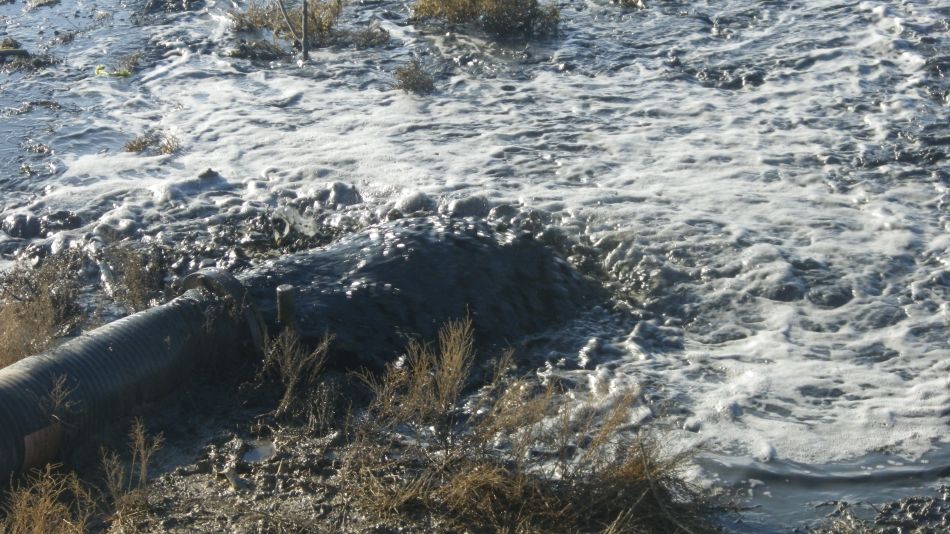 2020-09-10 12 Levington.jpg