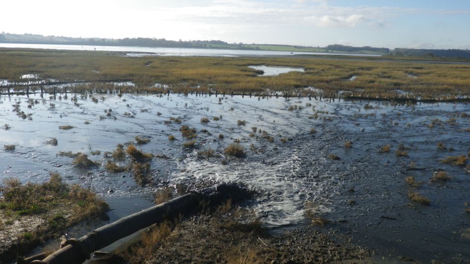 2020-09-10 13 Levington.jpg