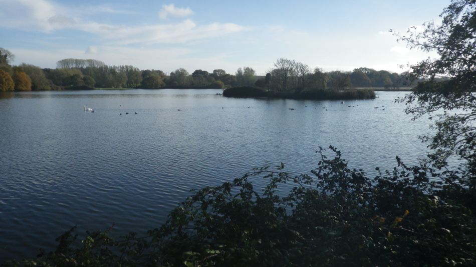 2020-09-10 19 Levington.jpg