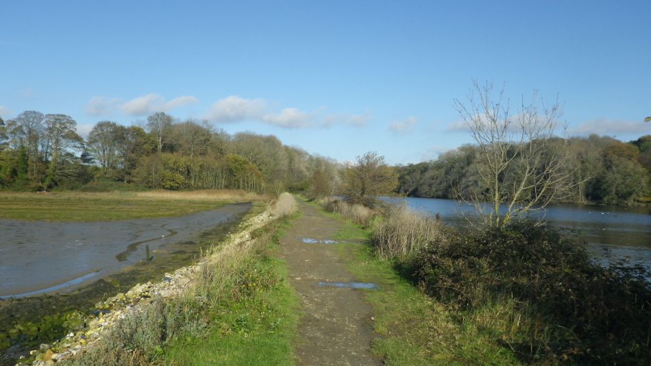 2020-09-10 20 Levington.jpg