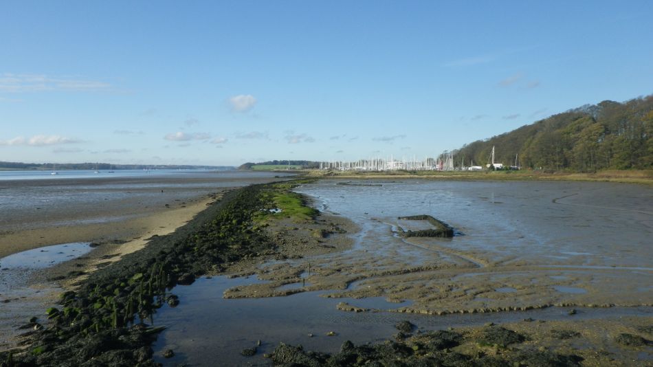 2020-09-10 21 Levington.jpg