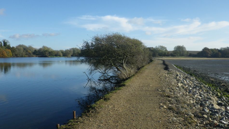 2020-09-10 22 Levington.jpg