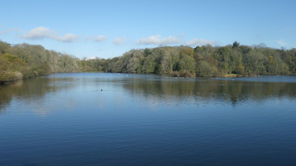 2020-09-10 23 Levington.jpg