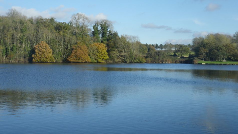 2020-09-10 24 Levington.jpg