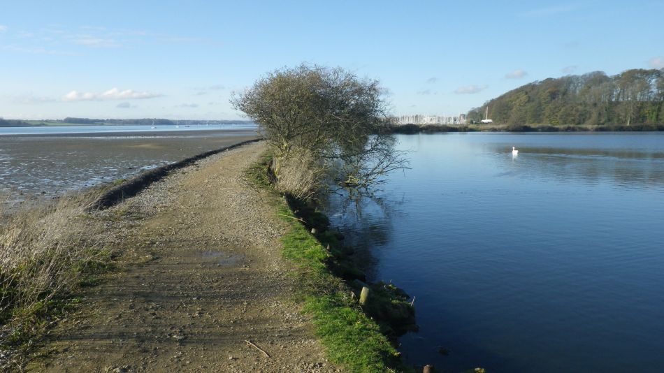 2020-09-10 25 Levington.jpg