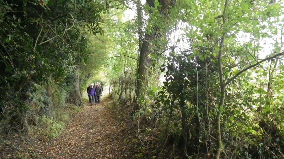 2017-10-04 11 Bath Hills and Outney Common.jpg