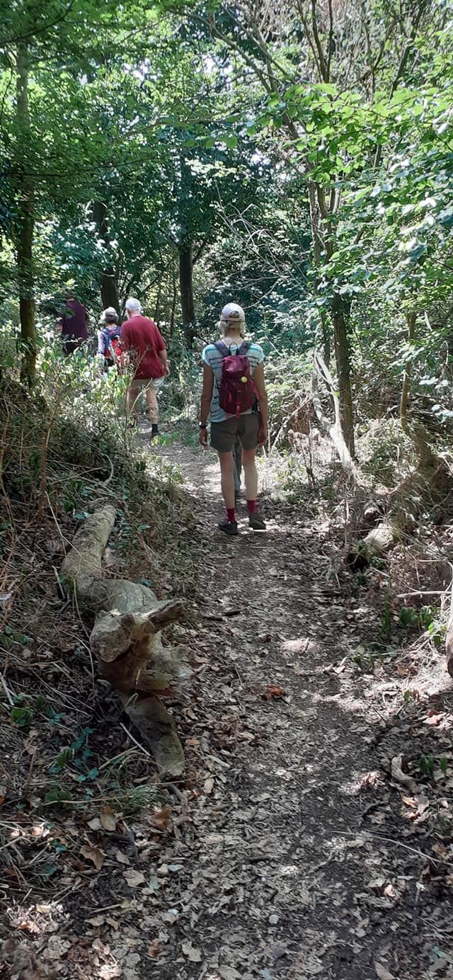 2022-07-14 02 Angles Way 17 - Bigod Way and Bath Hills.jpg