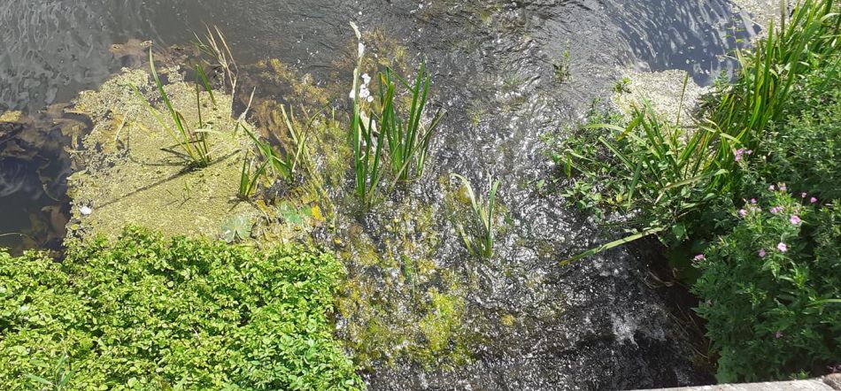 2022-07-14 05 Angles Way 17 - Bigod Way and Bath Hills.jpg