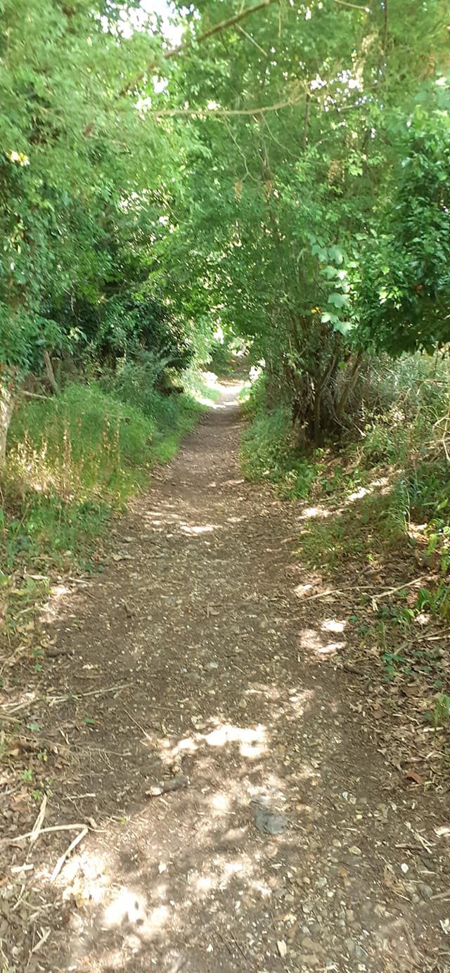 2022-07-14 20 Angles Way 17 - Bigod Way and Bath Hills.jpg